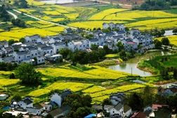 高淳網站建設