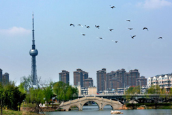 海陵網站建設