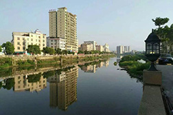 連平網站建設