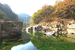 五蓮網站建設