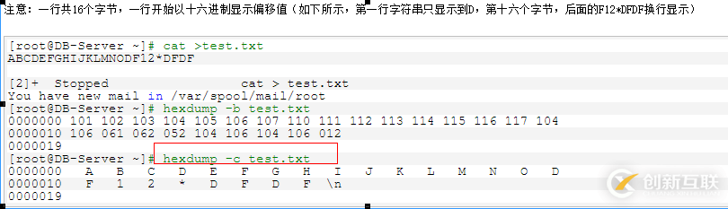 linux如何查看二進(jìn)制文件內(nèi)容