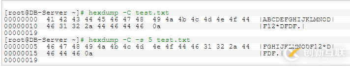 linux如何查看二進(jìn)制文件內(nèi)容