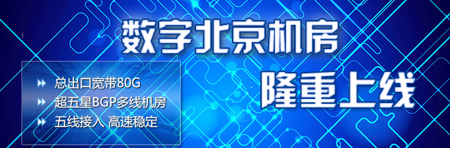 北京托管服務器——創新互聯數字北京機房