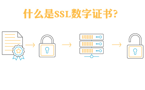 SSL數字證書