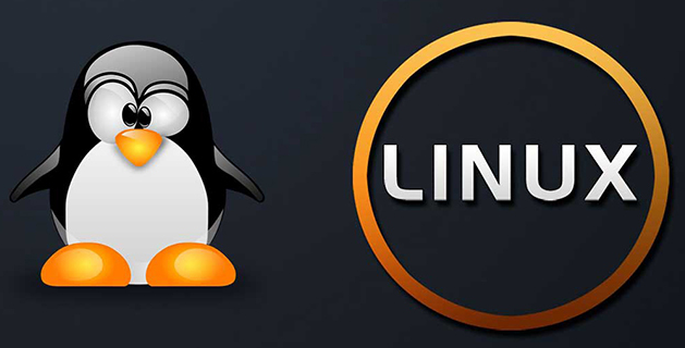 linux怎么ping，LinuxPing的步驟講解