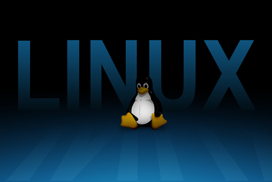 程序員租用Linux空間的好處