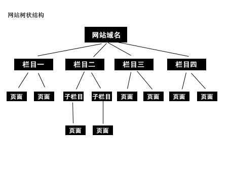 網站結構優化SEO優化系列教程